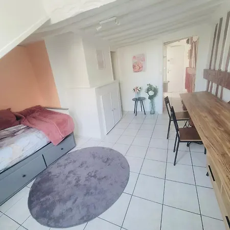 Appart Chu Lapeche Topskyhome Rouen